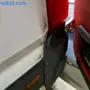thumbnail-Transporter of a parcel service-11