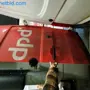 thumbnail-Transporter of a parcel service-28