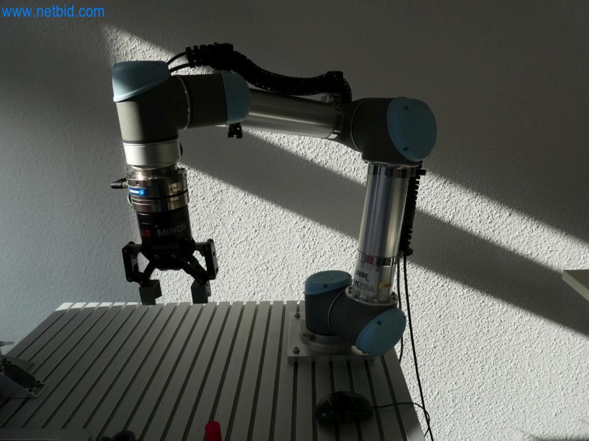 Lekkie roboty, roboty uniwersalne, systemy kamer-1