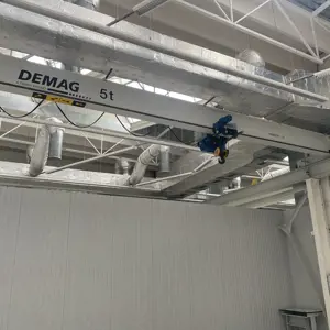Overhead crane DEMAG 5T