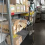 thumbnail-Lignes de production de fenêtres-1