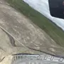 thumbnail-3 Maintained vehicles-13
