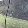thumbnail-3 Maintained vehicles-27