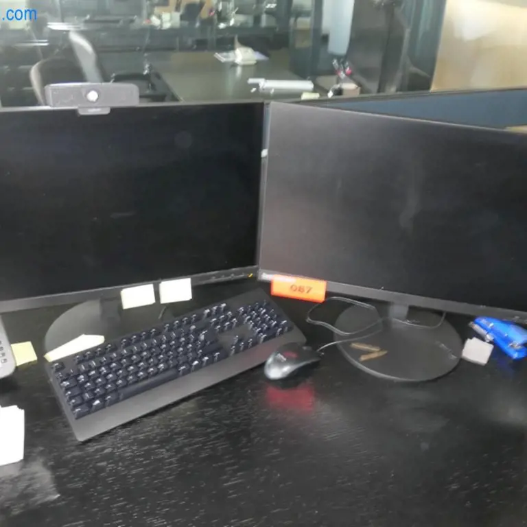 2 24" monitors Lenovo