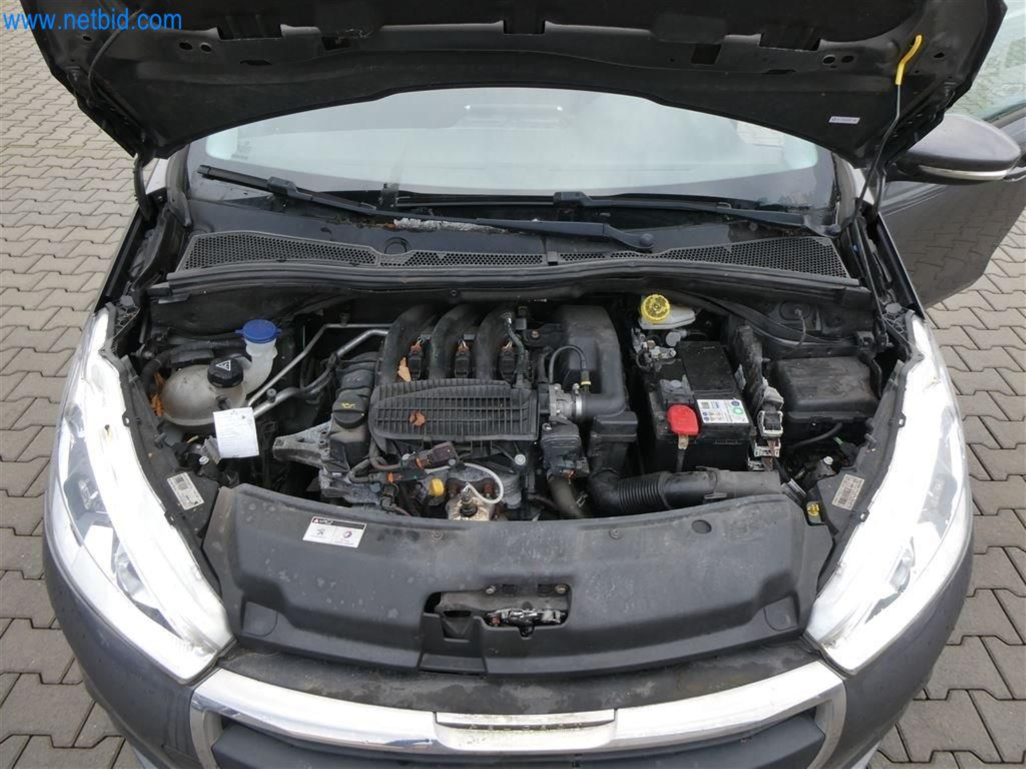 Current auctions in Austria-23