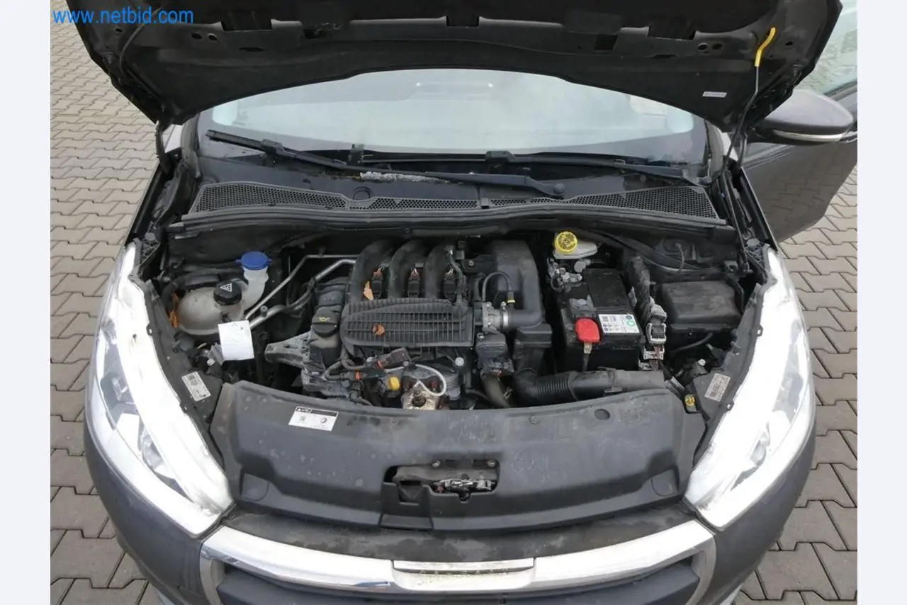 Current auctions in Austria-23