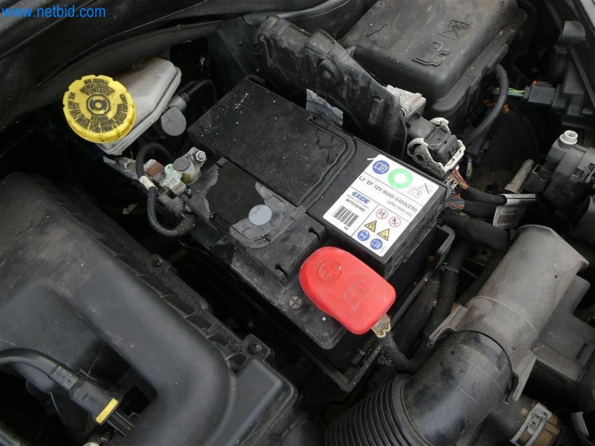 Current auctions in Austria-24