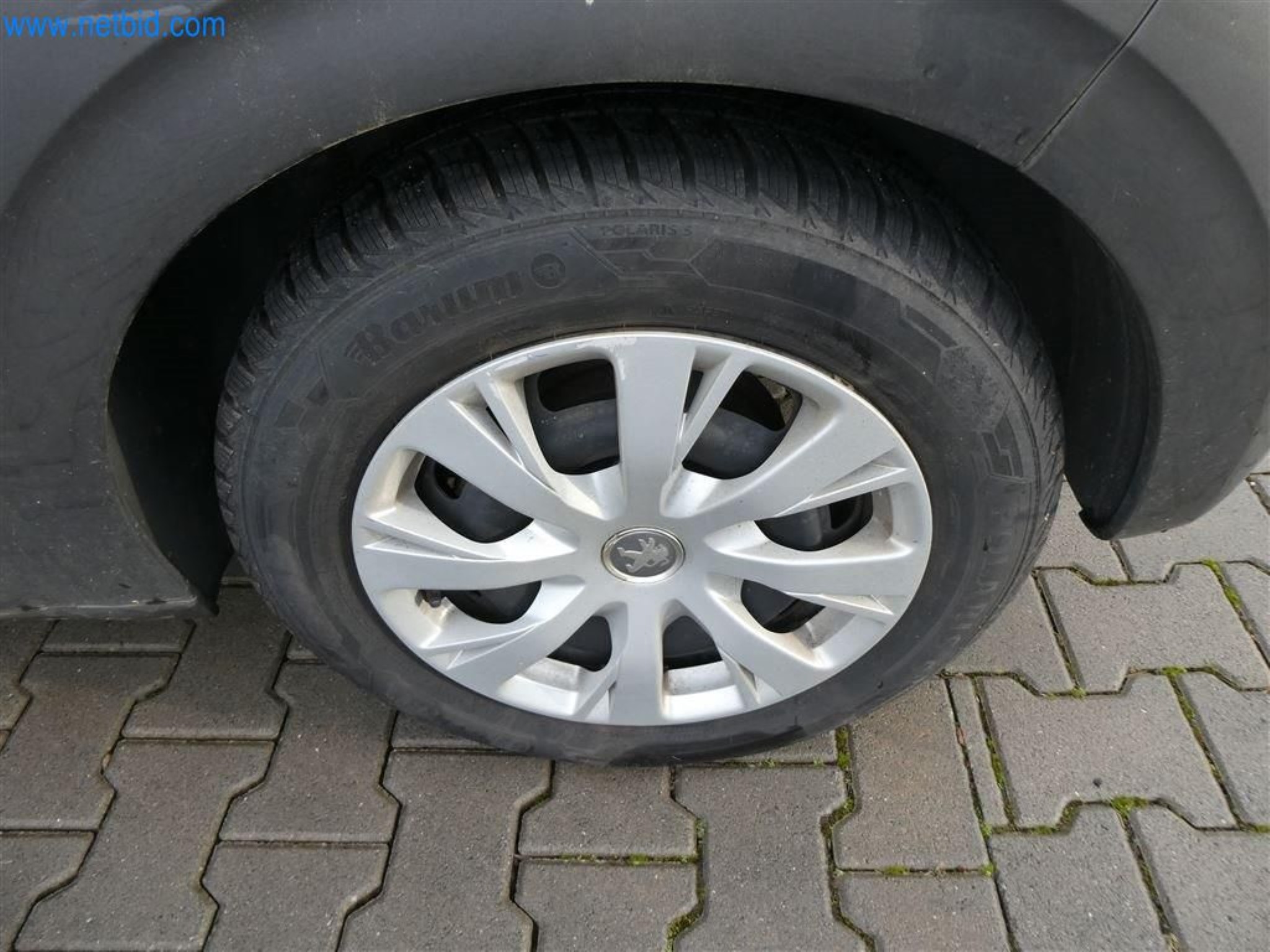 Current auctions in Austria-25