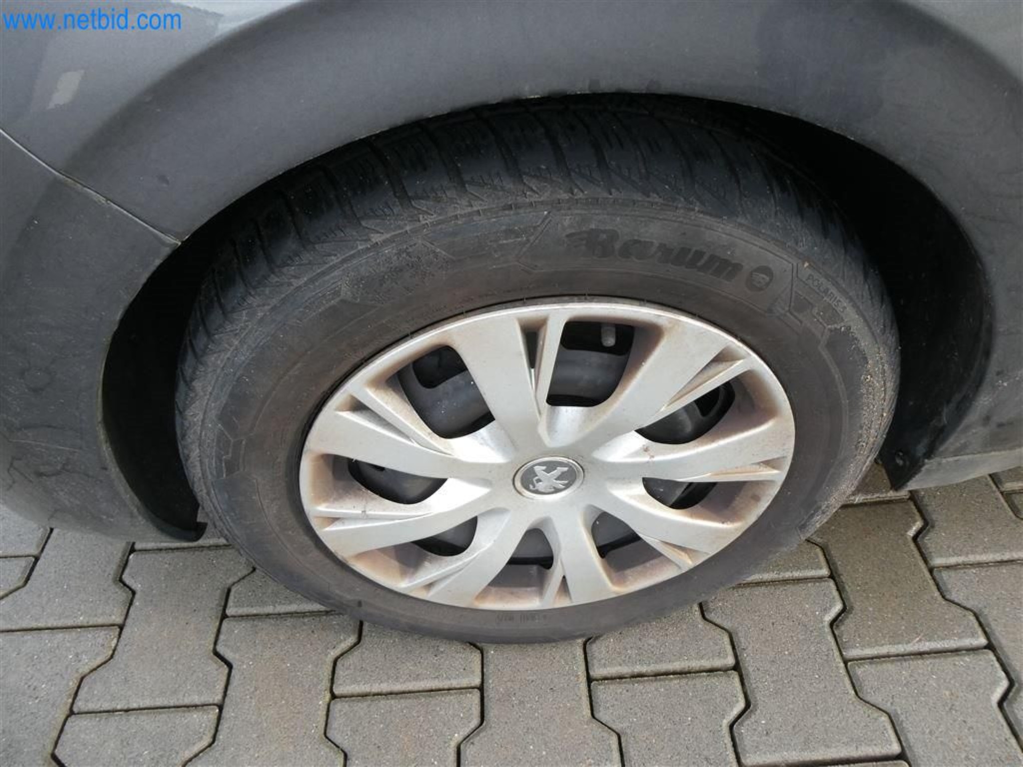 Current auctions in Austria-26