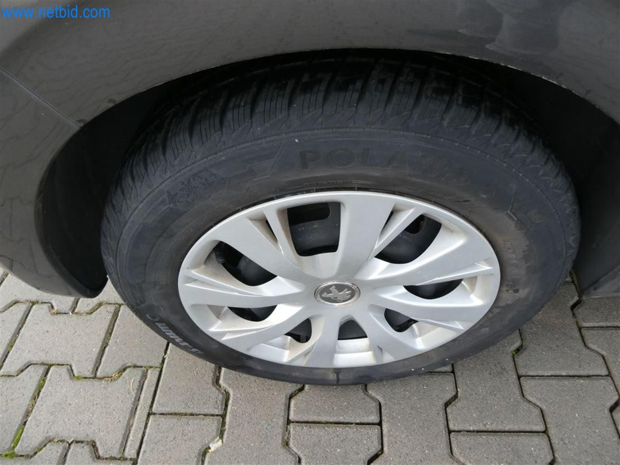 Current auctions in Austria-28