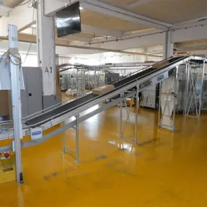 ca. 350 lfm. Driven conveyor section Heber