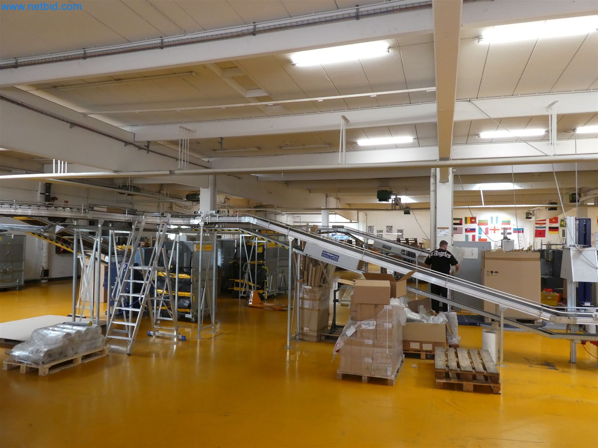 Equipamiento operativo, de oficina y comercial para una empresa de venta por correo en línea-2