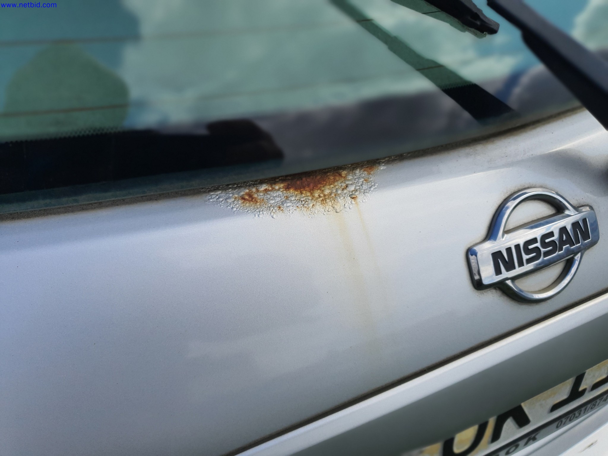 Dobro vzdrževani donosi iz zakupa-13