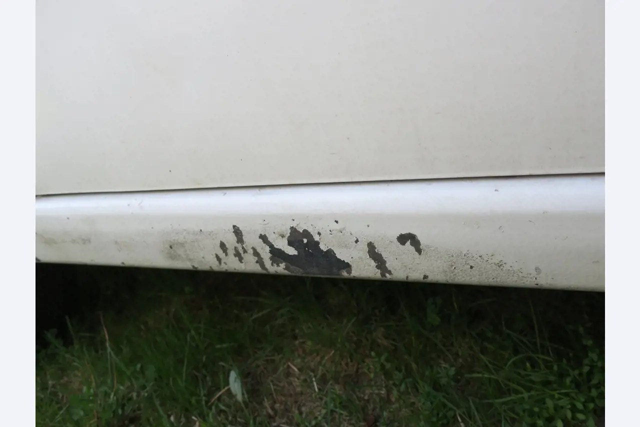 Vehículos usados-12