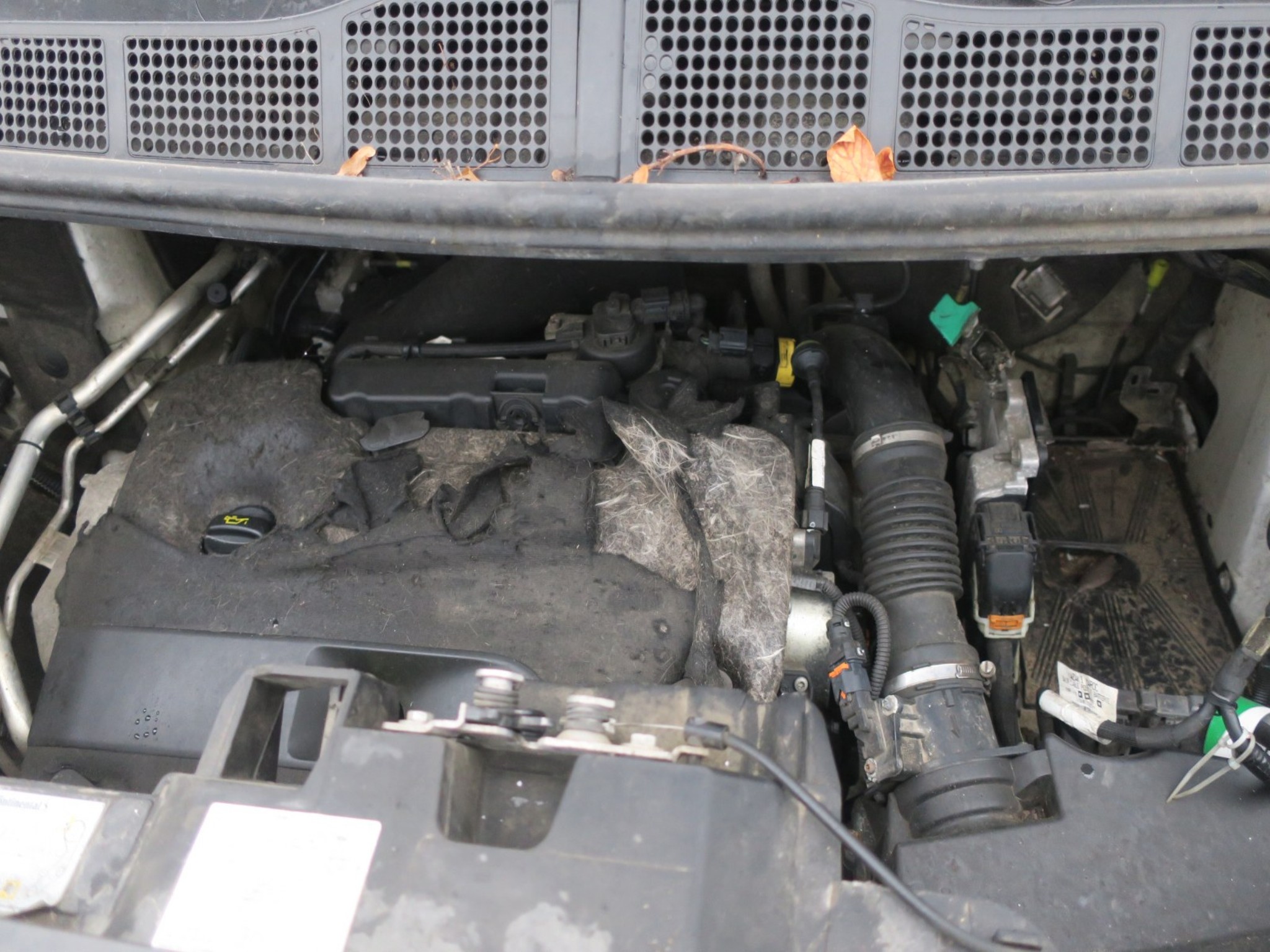 Used vehicles-2