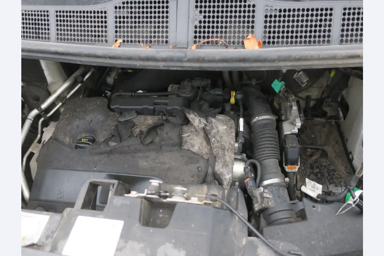 Used vehicles-2