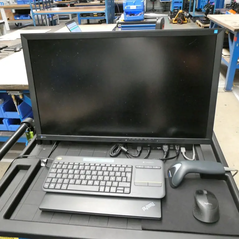27" monitor Eizo