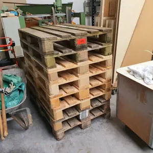 ca.  80 Euro paletes