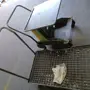 thumbnail-Machines for the production of stamped parts for the automotive industry, among others-3