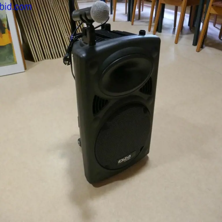 Sistema de sonido Ibiza Sound Port 12VHF-BT