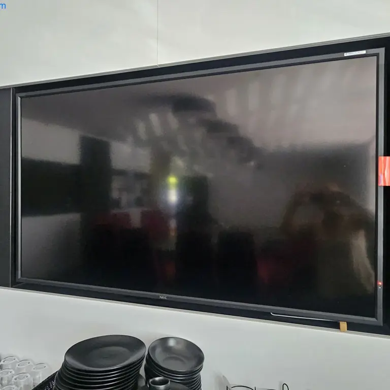 65"-TV-Gerät NEC