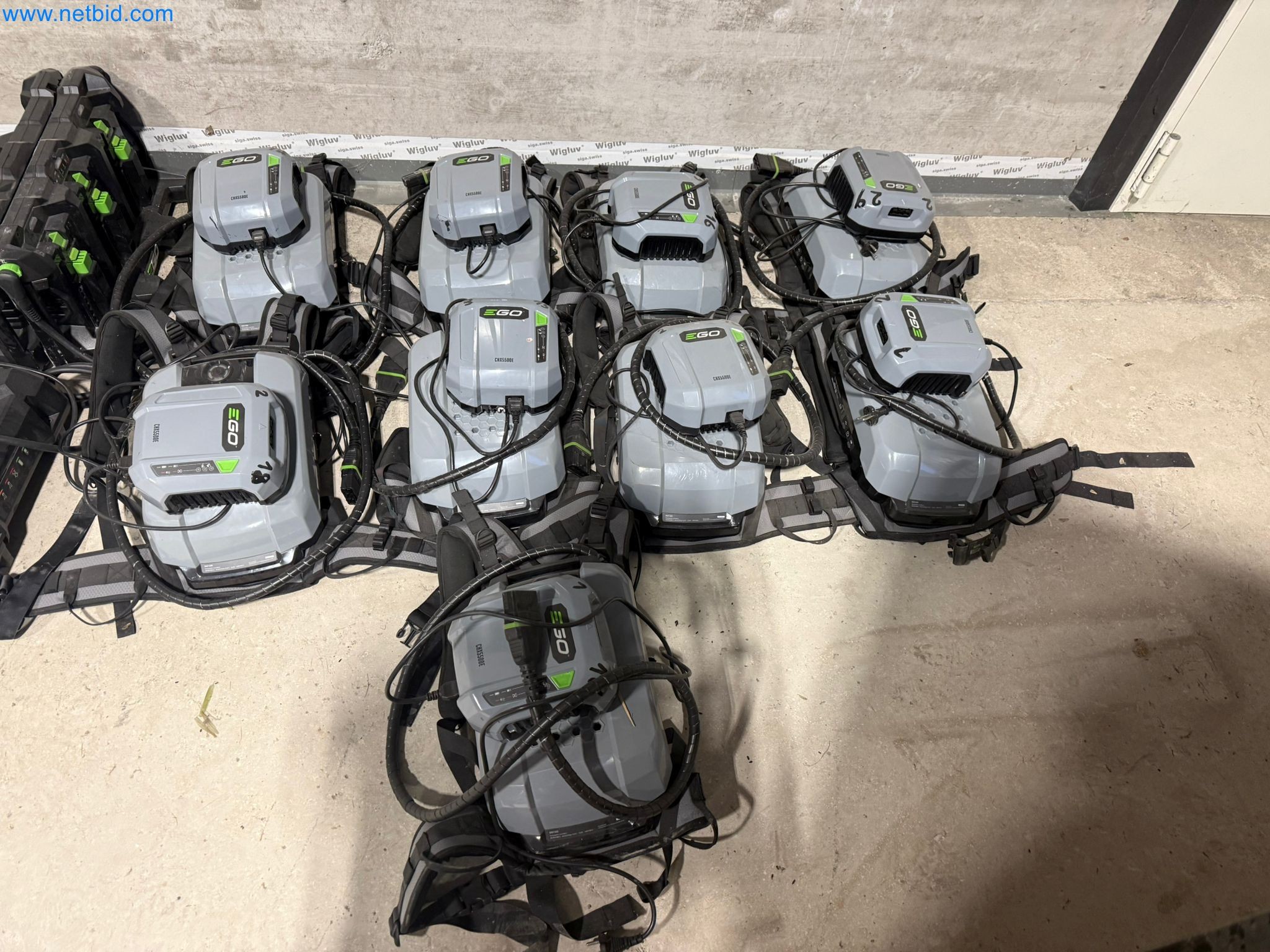 Environmentally friendly cordless garden tools from EGO-3