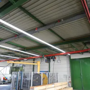 Grue de plafond Demag