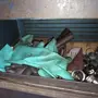 thumbnail-Vente aux enchères exclusive pour insolvabilité : machines, outils et équipements d'usine de Nano Automotive en Espagne-11