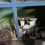 thumbnail-gepflegte Werkstattausstattung sowie Maschinen der ehem. Firma Hülsenbusch Apparatebau-31