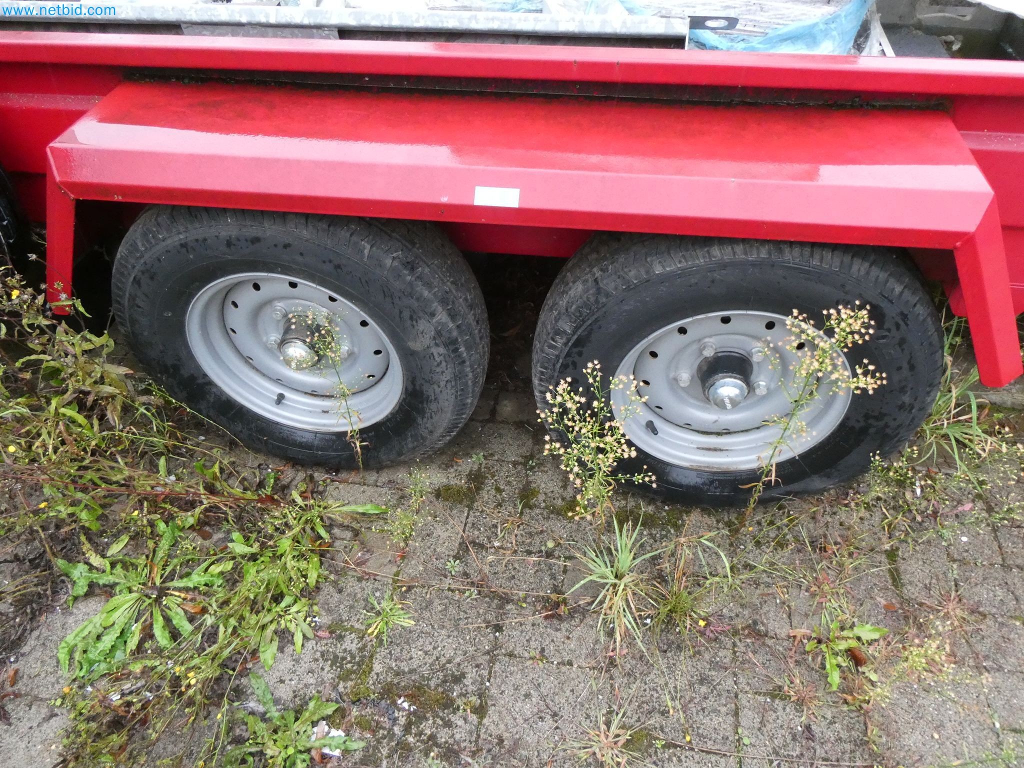 well maintened copier/MFP-6