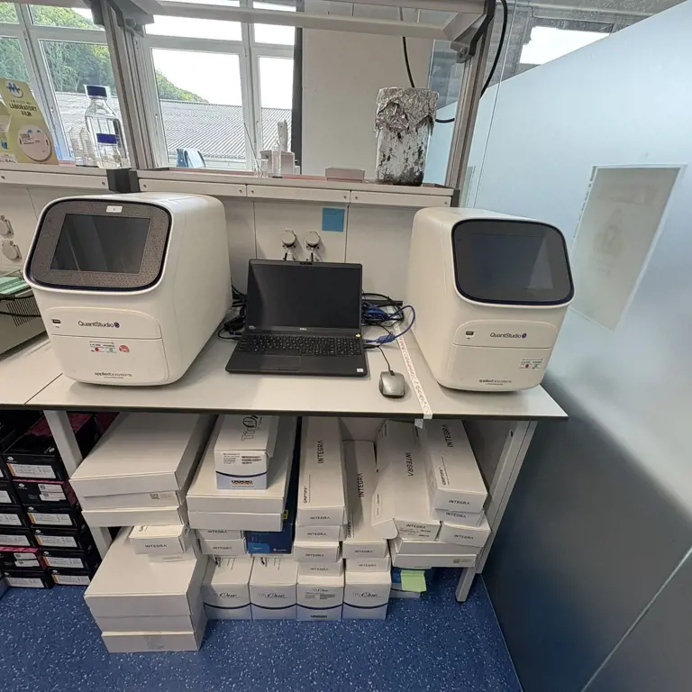 sistema qPCR Applied Biosystems Quant Studio 5
