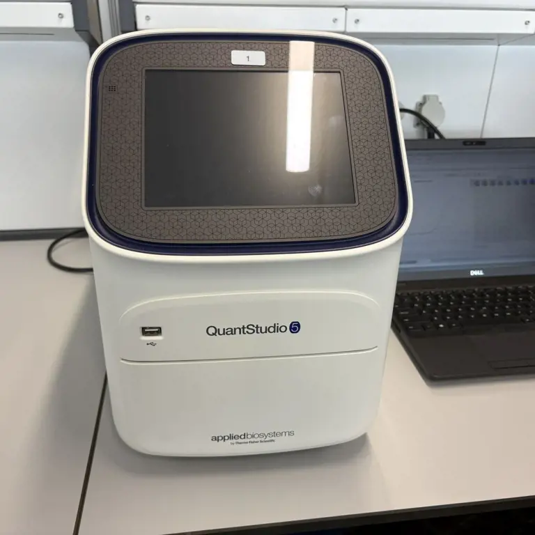 sistema qPCR Applied Biosystems Quant Studio 5