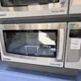 thumbnail-Equipamento laboratorial e analítico de alta qualidade-2
