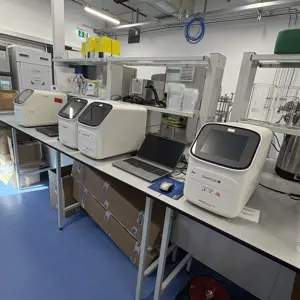 Ciclador de PCR em tempo real Applied Biosystems QuantStudio 5