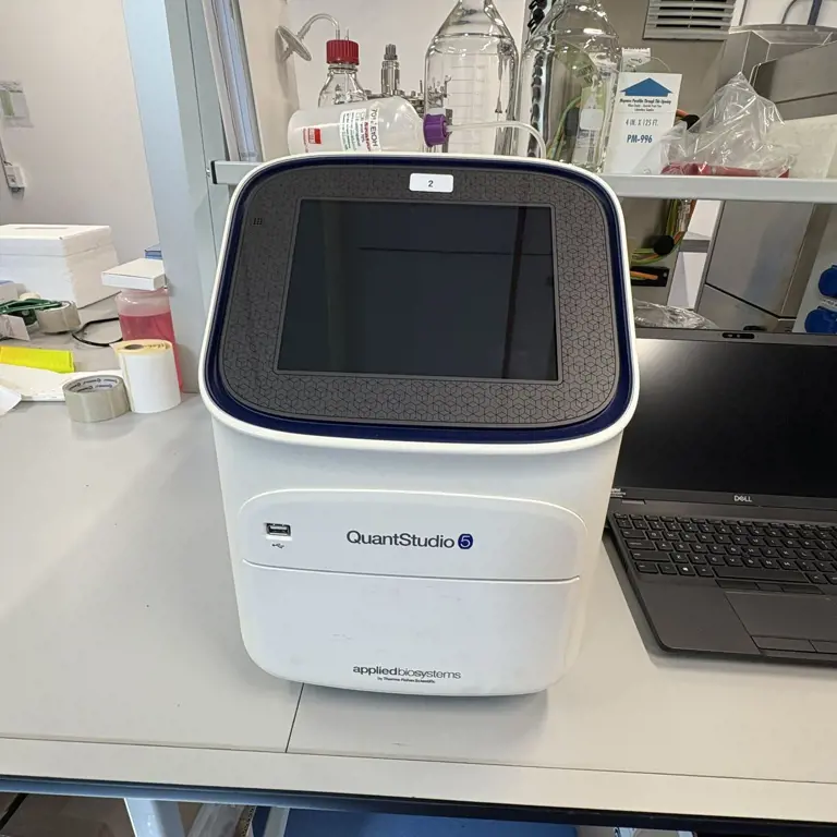 Ciclador de PCR em tempo real Applied Biosystems QuantStudio 5