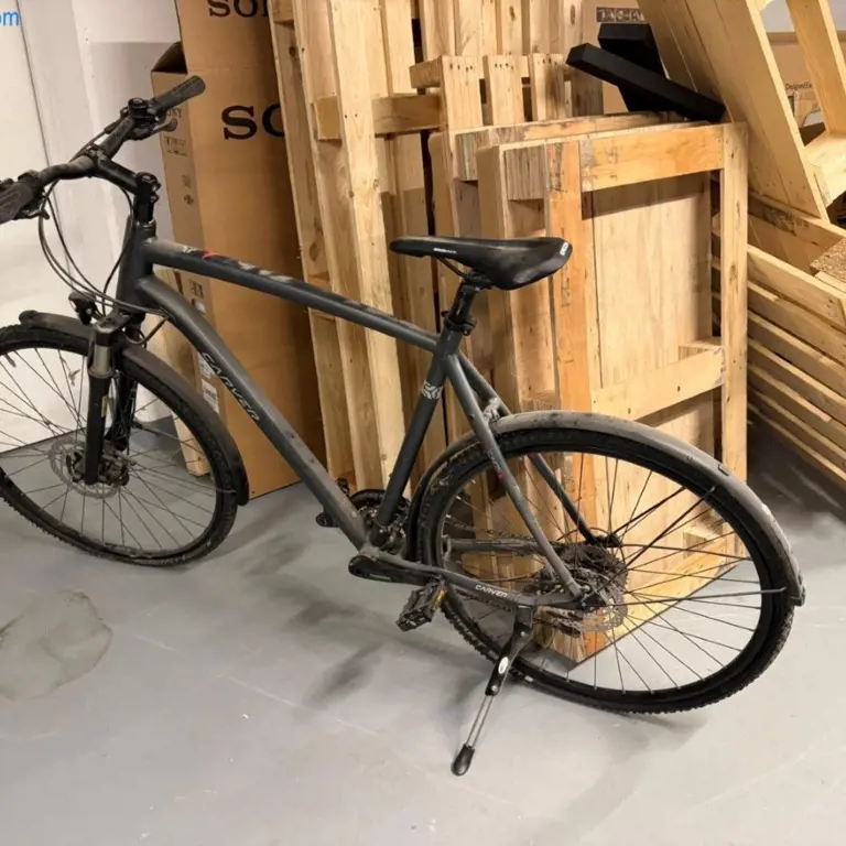 Fahrrad Carver Hardtail