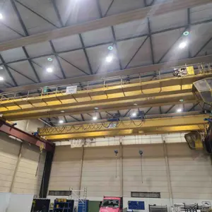 Double girder bridge crane (IS 4077) D-Krantechnik