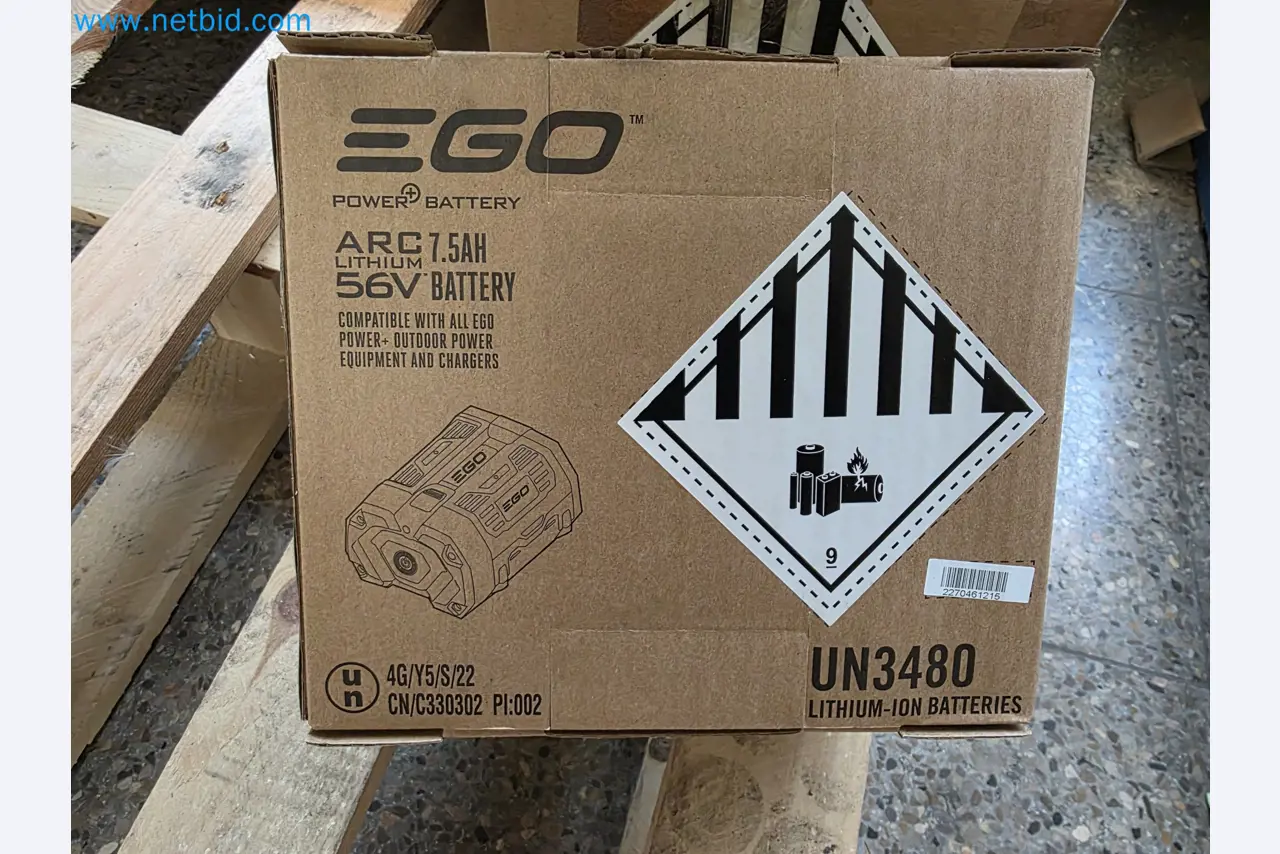 Auktion - EGO-Elektrowerkzeugen ungenutzt-1