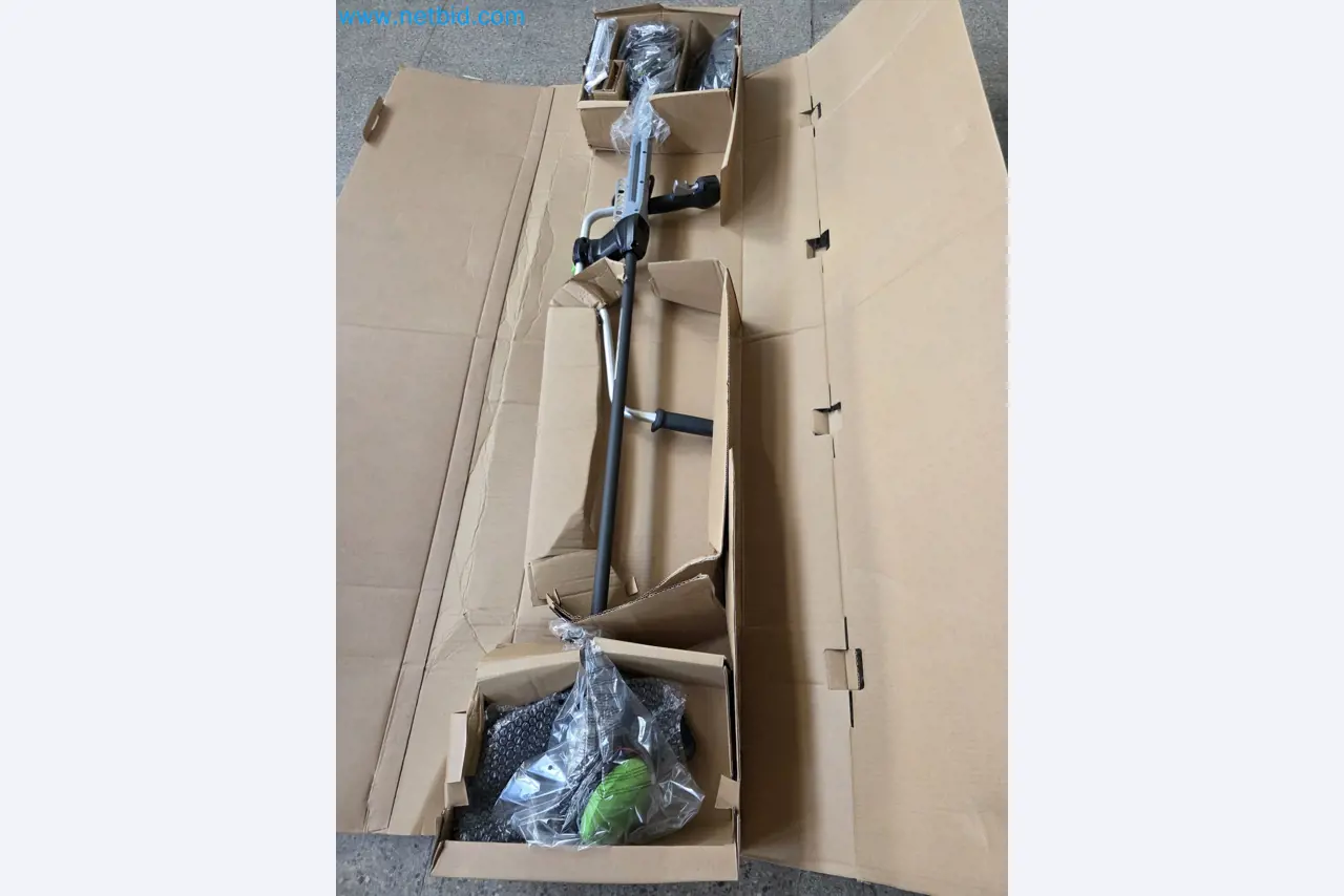 Auktion - EGO-Elektrowerkzeugen ungenutzt-1