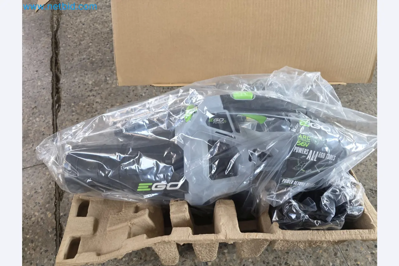 Auktion - EGO-Elektrowerkzeugen ungenutzt-1