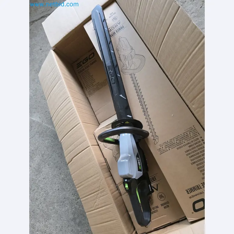 Auktion - EGO-Elektrowerkzeugen ungenutzt-1