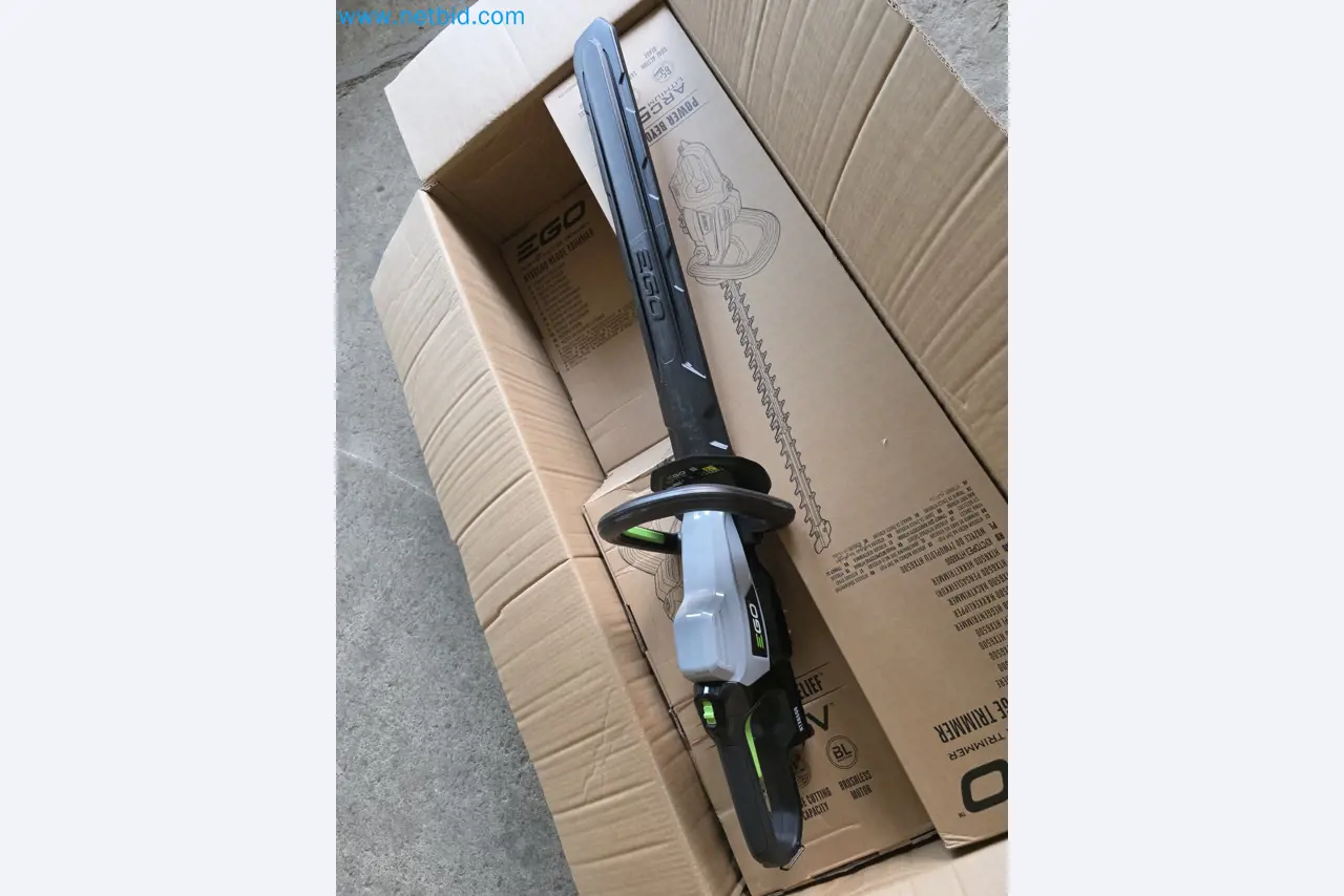 Auktion - EGO-Elektrowerkzeugen ungenutzt-1