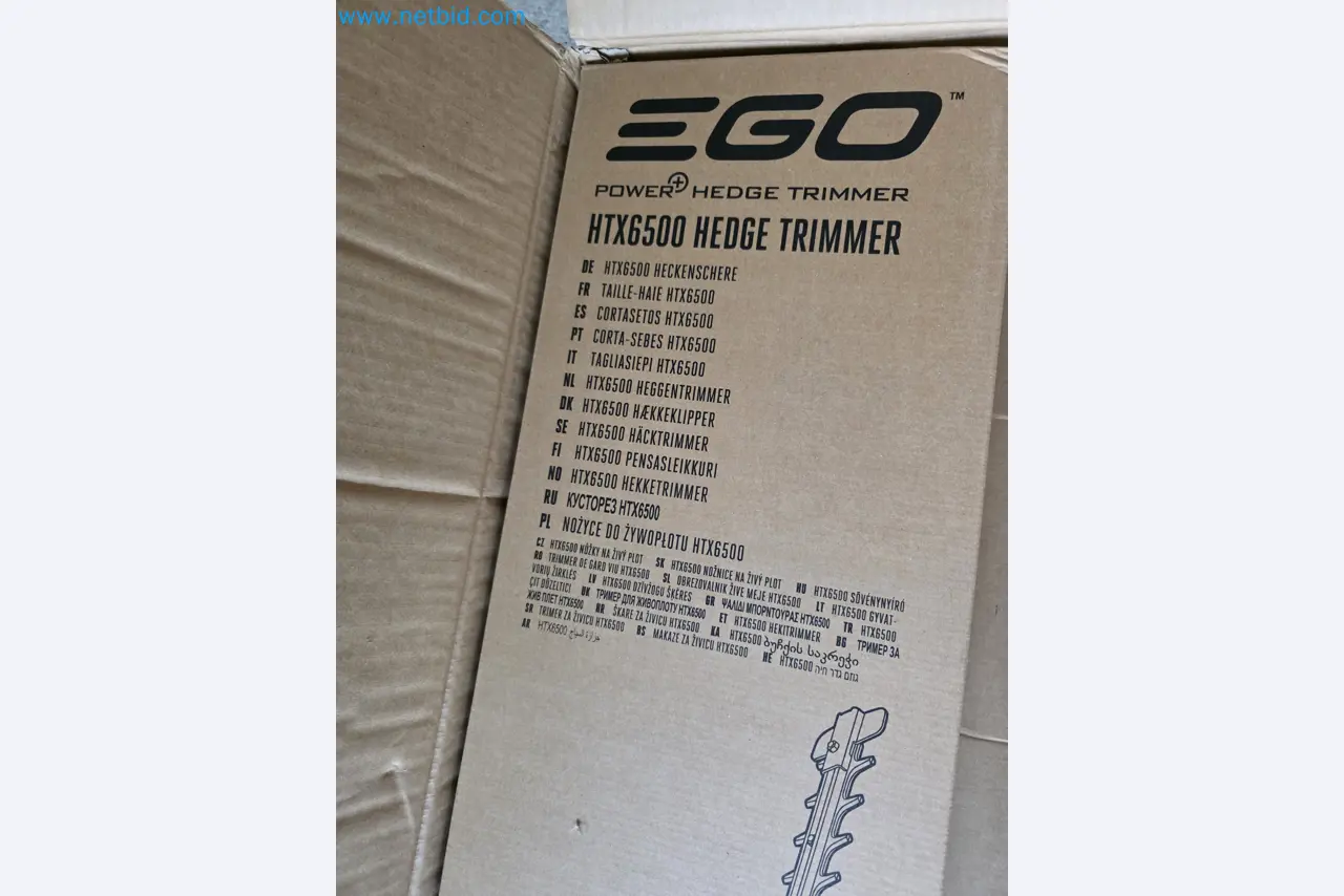 Auktion - EGO-Elektrowerkzeugen ungenutzt-2