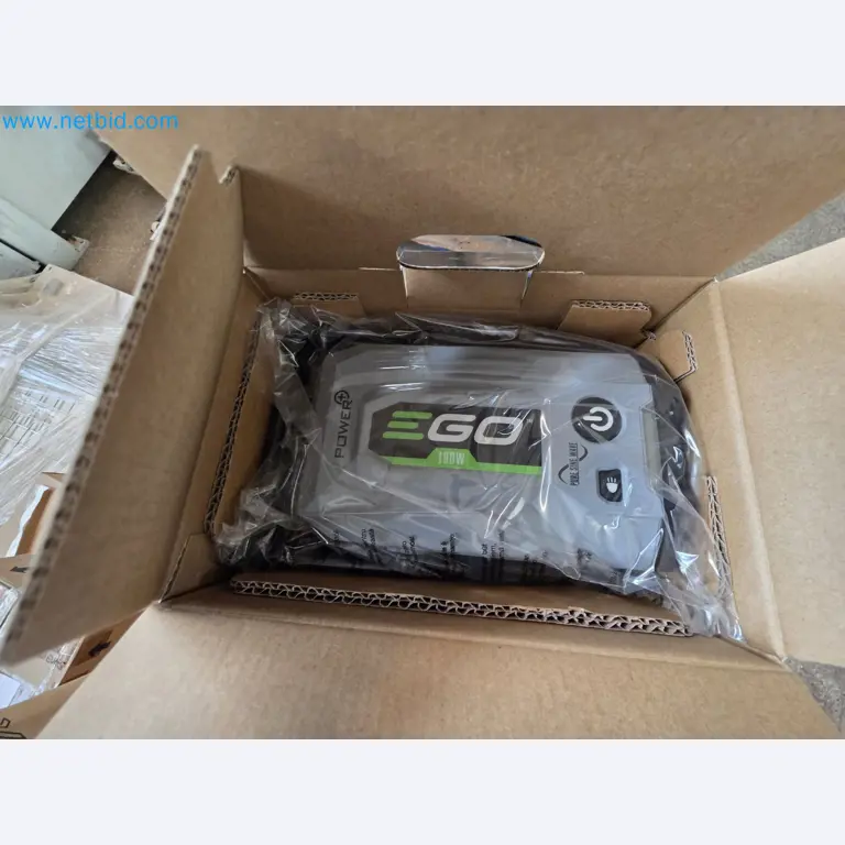 Auktion - EGO-Elektrowerkzeugen ungenutzt-2