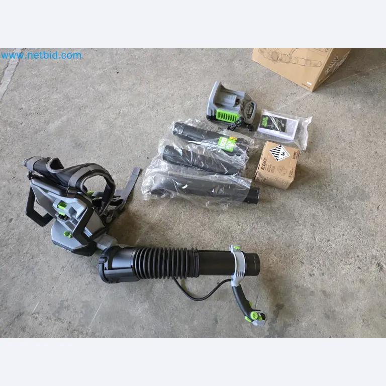 Auktion - EGO-Elektrowerkzeugen ungenutzt-1