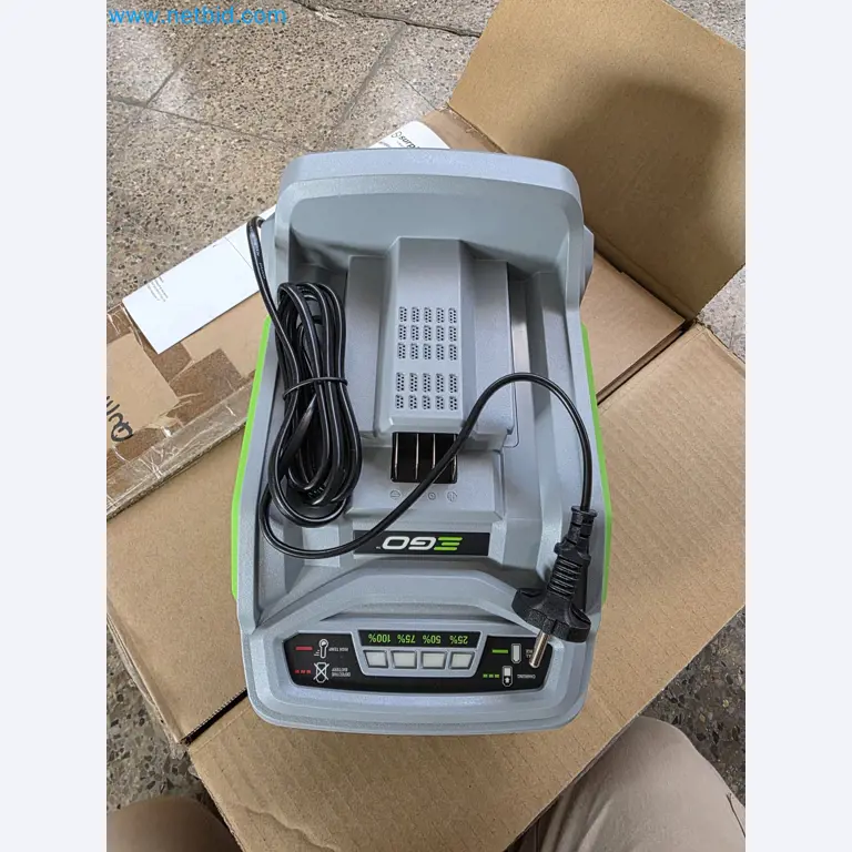 Auktion - EGO-Elektrowerkzeugen ungenutzt-3