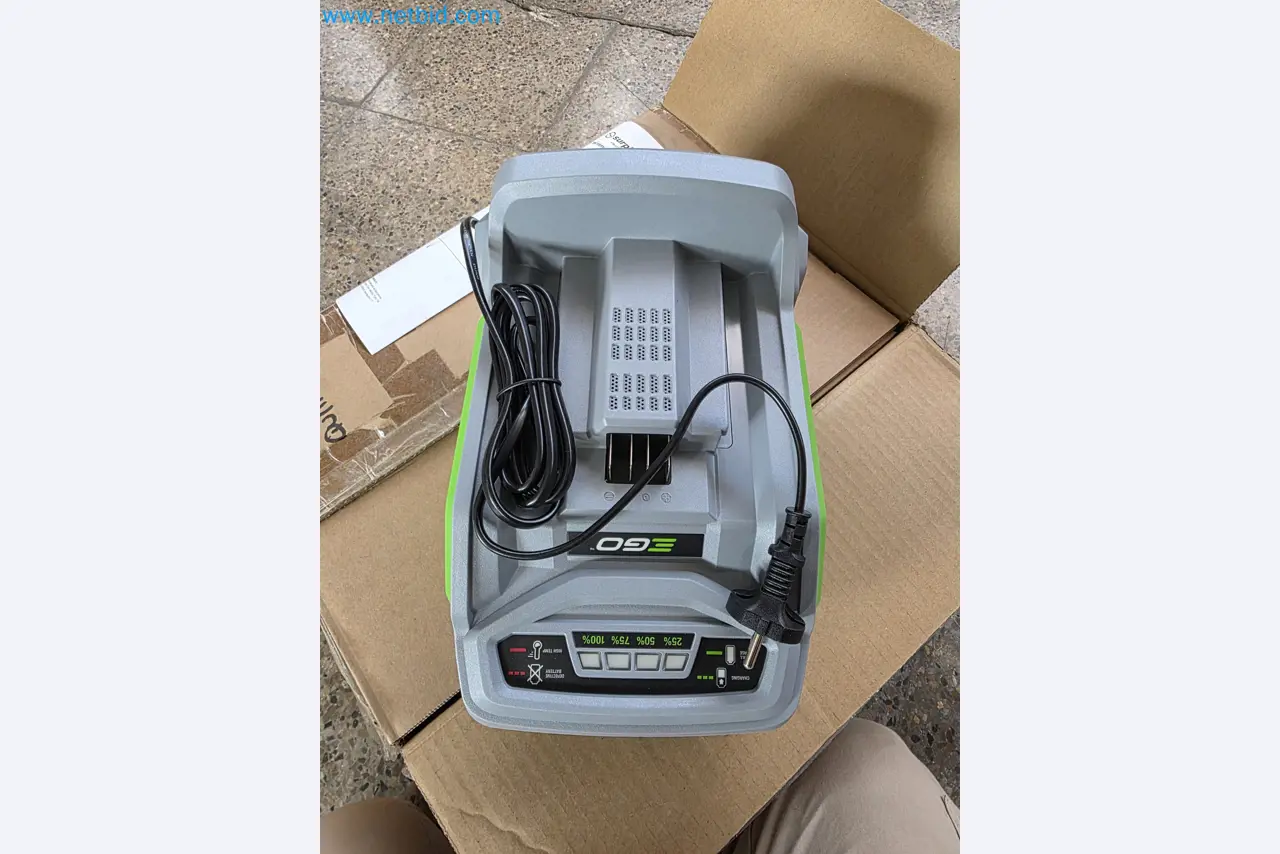 Auktion - EGO-Elektrowerkzeugen ungenutzt-3