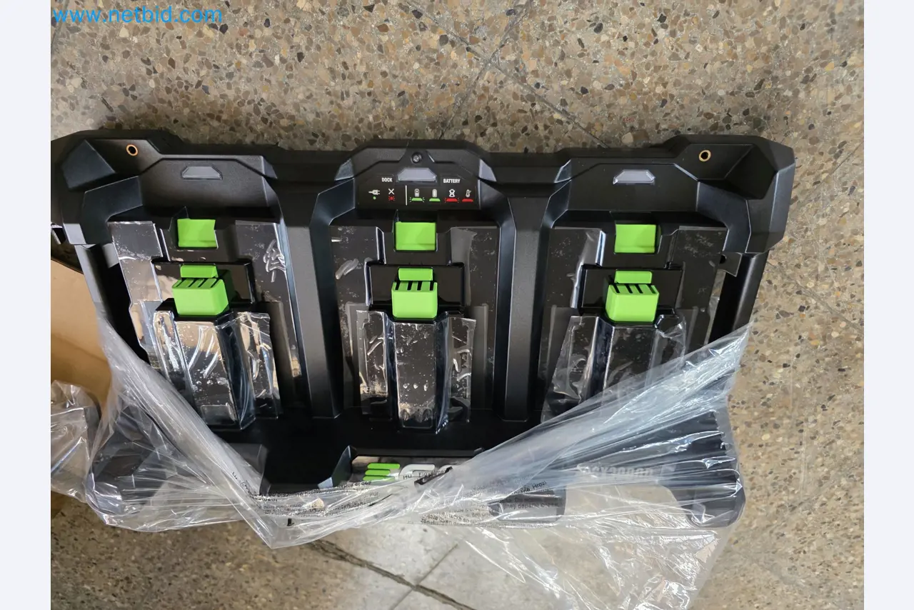 Auktion - EGO-Elektrowerkzeugen ungenutzt-1