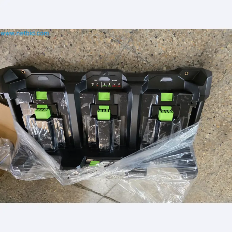 Auktion - EGO-Elektrowerkzeugen ungenutzt-1