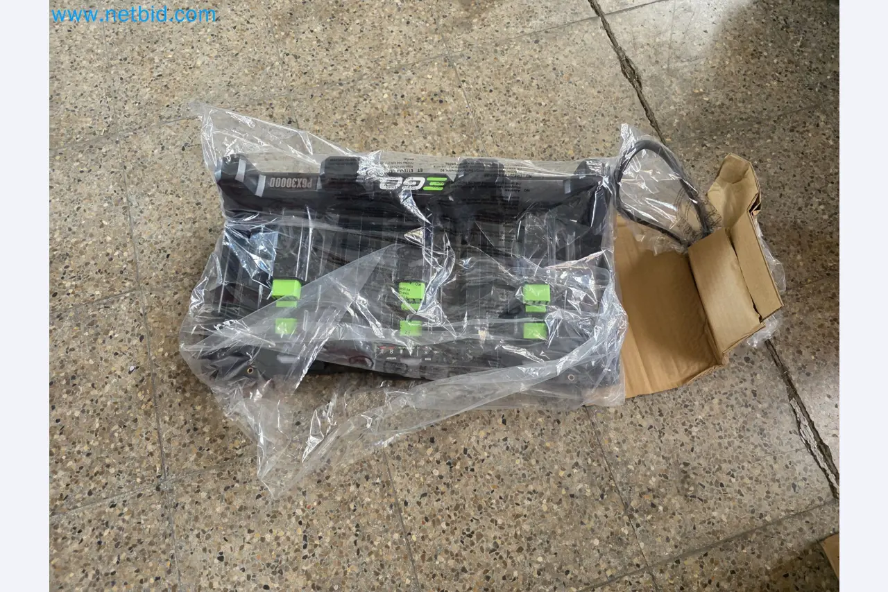 Auktion - EGO-Elektrowerkzeugen ungenutzt-2